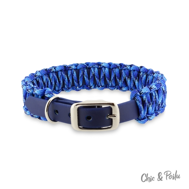 Coloré bleu